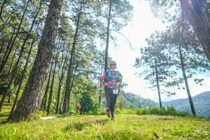 BIB: 
                            <button type="button" onclick="openModal(19285350)" class="btn btn-primary btn-sm float-right btn-popup" data-toggle="modal" data-target=".modal-high-quality">
                        <i class="fas fa-shopping-cart"></i> Add to Cart
                    </button>
                                            <button type="button" onclick="isThisMe(19285350, true)" class="btn btn-success btn-sm float-right btn-popup btn-isme hidden" data-toggle="tooltip" data-placement="bottom" title="นี่คือรูปของคุณใช่ไหม คลิกที่นี่เพื่อเอาเข้าอัลบั้ม">
                        <i class="fas fa-plus"></i> Add to album
                    </button>
                    <button type="button" onclick="isThisMe(19285350, false)" class="btn btn-warning btn-sm float-right btn-popup btn-isnotme hidden">
                        <i class="fas fa-ban"></i> Remove from album
                    </button>