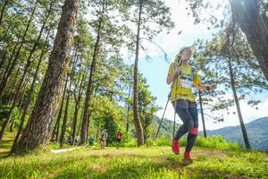 BIB: 1019
                            <button type="button" onclick="openModal(19290871)" class="btn btn-primary btn-sm float-right btn-popup" data-toggle="modal" data-target=".modal-high-quality">
                        <i class="fas fa-shopping-cart"></i> Add to Cart
                    </button>
                                            <button type="button" onclick="isThisMe(19290871, true)" class="btn btn-success btn-sm float-right btn-popup btn-isme hidden" data-toggle="tooltip" data-placement="bottom" title="นี่คือรูปของคุณใช่ไหม คลิกที่นี่เพื่อเอาเข้าอัลบั้ม">
                        <i class="fas fa-plus"></i> Add to album
                    </button>
                    <button type="button" onclick="isThisMe(19290871, false)" class="btn btn-warning btn-sm float-right btn-popup btn-isnotme hidden">
                        <i class="fas fa-ban"></i> Remove from album
                    </button>