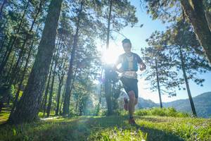 BIB: 
                            <button type="button" onclick="openModal(19279486)" class="btn btn-primary btn-sm float-right btn-popup" data-toggle="modal" data-target=".modal-high-quality">
                        <i class="fas fa-shopping-cart"></i> Add to Cart
                    </button>
                                            <button type="button" onclick="isThisMe(19279486, true)" class="btn btn-success btn-sm float-right btn-popup btn-isme hidden" data-toggle="tooltip" data-placement="bottom" title="นี่คือรูปของคุณใช่ไหม คลิกที่นี่เพื่อเอาเข้าอัลบั้ม">
                        <i class="fas fa-plus"></i> Add to album
                    </button>
                    <button type="button" onclick="isThisMe(19279486, false)" class="btn btn-warning btn-sm float-right btn-popup btn-isnotme hidden">
                        <i class="fas fa-ban"></i> Remove from album
                    </button>