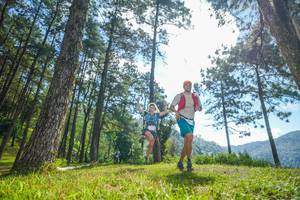 BIB: 
                            <button type="button" onclick="openModal(19282348)" class="btn btn-primary btn-sm float-right btn-popup" data-toggle="modal" data-target=".modal-high-quality">
                        <i class="fas fa-shopping-cart"></i> Add to Cart
                    </button>
                                            <button type="button" onclick="isThisMe(19282348, true)" class="btn btn-success btn-sm float-right btn-popup btn-isme hidden" data-toggle="tooltip" data-placement="bottom" title="นี่คือรูปของคุณใช่ไหม คลิกที่นี่เพื่อเอาเข้าอัลบั้ม">
                        <i class="fas fa-plus"></i> Add to album
                    </button>
                    <button type="button" onclick="isThisMe(19282348, false)" class="btn btn-warning btn-sm float-right btn-popup btn-isnotme hidden">
                        <i class="fas fa-ban"></i> Remove from album
                    </button>