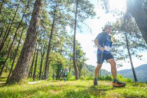 BIB: 
                            <button type="button" onclick="openModal(19290386)" class="btn btn-primary btn-sm float-right btn-popup" data-toggle="modal" data-target=".modal-high-quality">
                        <i class="fas fa-shopping-cart"></i> Add to Cart
                    </button>
                                            <button type="button" onclick="isThisMe(19290386, true)" class="btn btn-success btn-sm float-right btn-popup btn-isme hidden" data-toggle="tooltip" data-placement="bottom" title="นี่คือรูปของคุณใช่ไหม คลิกที่นี่เพื่อเอาเข้าอัลบั้ม">
                        <i class="fas fa-plus"></i> Add to album
                    </button>
                    <button type="button" onclick="isThisMe(19290386, false)" class="btn btn-warning btn-sm float-right btn-popup btn-isnotme hidden">
                        <i class="fas fa-ban"></i> Remove from album
                    </button>