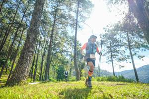 BIB: 
                            <button type="button" onclick="openModal(19284799)" class="btn btn-primary btn-sm float-right btn-popup" data-toggle="modal" data-target=".modal-high-quality">
                        <i class="fas fa-shopping-cart"></i> Add to Cart
                    </button>
                                            <button type="button" onclick="isThisMe(19284799, true)" class="btn btn-success btn-sm float-right btn-popup btn-isme hidden" data-toggle="tooltip" data-placement="bottom" title="นี่คือรูปของคุณใช่ไหม คลิกที่นี่เพื่อเอาเข้าอัลบั้ม">
                        <i class="fas fa-plus"></i> Add to album
                    </button>
                    <button type="button" onclick="isThisMe(19284799, false)" class="btn btn-warning btn-sm float-right btn-popup btn-isnotme hidden">
                        <i class="fas fa-ban"></i> Remove from album
                    </button>