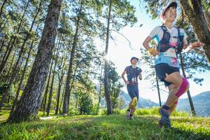 BIB: 
                            <button type="button" onclick="openModal(19279333)" class="btn btn-primary btn-sm float-right btn-popup" data-toggle="modal" data-target=".modal-high-quality">
                        <i class="fas fa-shopping-cart"></i> Add to Cart
                    </button>
                                            <button type="button" onclick="isThisMe(19279333, true)" class="btn btn-success btn-sm float-right btn-popup btn-isme hidden" data-toggle="tooltip" data-placement="bottom" title="นี่คือรูปของคุณใช่ไหม คลิกที่นี่เพื่อเอาเข้าอัลบั้ม">
                        <i class="fas fa-plus"></i> Add to album
                    </button>
                    <button type="button" onclick="isThisMe(19279333, false)" class="btn btn-warning btn-sm float-right btn-popup btn-isnotme hidden">
                        <i class="fas fa-ban"></i> Remove from album
                    </button>