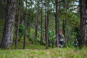 BIB: 
                            <button type="button" onclick="openModal(19292420)" class="btn btn-primary btn-sm float-right btn-popup" data-toggle="modal" data-target=".modal-high-quality">
                        <i class="fas fa-shopping-cart"></i> Add to Cart
                    </button>
                                            <button type="button" onclick="isThisMe(19292420, true)" class="btn btn-success btn-sm float-right btn-popup btn-isme hidden" data-toggle="tooltip" data-placement="bottom" title="นี่คือรูปของคุณใช่ไหม คลิกที่นี่เพื่อเอาเข้าอัลบั้ม">
                        <i class="fas fa-plus"></i> Add to album
                    </button>
                    <button type="button" onclick="isThisMe(19292420, false)" class="btn btn-warning btn-sm float-right btn-popup btn-isnotme hidden">
                        <i class="fas fa-ban"></i> Remove from album
                    </button>