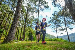 BIB: 
                            <button type="button" onclick="openModal(19290965)" class="btn btn-primary btn-sm float-right btn-popup" data-toggle="modal" data-target=".modal-high-quality">
                        <i class="fas fa-shopping-cart"></i> Add to Cart
                    </button>
                                            <button type="button" onclick="isThisMe(19290965, true)" class="btn btn-success btn-sm float-right btn-popup btn-isme hidden" data-toggle="tooltip" data-placement="bottom" title="นี่คือรูปของคุณใช่ไหม คลิกที่นี่เพื่อเอาเข้าอัลบั้ม">
                        <i class="fas fa-plus"></i> Add to album
                    </button>
                    <button type="button" onclick="isThisMe(19290965, false)" class="btn btn-warning btn-sm float-right btn-popup btn-isnotme hidden">
                        <i class="fas fa-ban"></i> Remove from album
                    </button>