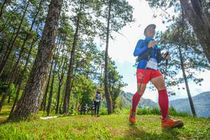 BIB: 
                            <button type="button" onclick="openModal(19287030)" class="btn btn-primary btn-sm float-right btn-popup" data-toggle="modal" data-target=".modal-high-quality">
                        <i class="fas fa-shopping-cart"></i> Add to Cart
                    </button>
                                            <button type="button" onclick="isThisMe(19287030, true)" class="btn btn-success btn-sm float-right btn-popup btn-isme hidden" data-toggle="tooltip" data-placement="bottom" title="นี่คือรูปของคุณใช่ไหม คลิกที่นี่เพื่อเอาเข้าอัลบั้ม">
                        <i class="fas fa-plus"></i> Add to album
                    </button>
                    <button type="button" onclick="isThisMe(19287030, false)" class="btn btn-warning btn-sm float-right btn-popup btn-isnotme hidden">
                        <i class="fas fa-ban"></i> Remove from album
                    </button>