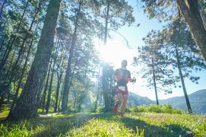 BIB: 
                            <button type="button" onclick="openModal(19279647)" class="btn btn-primary btn-sm float-right btn-popup" data-toggle="modal" data-target=".modal-high-quality">
                        <i class="fas fa-shopping-cart"></i> Add to Cart
                    </button>
                                            <button type="button" onclick="isThisMe(19279647, true)" class="btn btn-success btn-sm float-right btn-popup btn-isme hidden" data-toggle="tooltip" data-placement="bottom" title="นี่คือรูปของคุณใช่ไหม คลิกที่นี่เพื่อเอาเข้าอัลบั้ม">
                        <i class="fas fa-plus"></i> Add to album
                    </button>
                    <button type="button" onclick="isThisMe(19279647, false)" class="btn btn-warning btn-sm float-right btn-popup btn-isnotme hidden">
                        <i class="fas fa-ban"></i> Remove from album
                    </button>