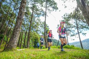 BIB: 
                            <button type="button" onclick="openModal(19288184)" class="btn btn-primary btn-sm float-right btn-popup" data-toggle="modal" data-target=".modal-high-quality">
                        <i class="fas fa-shopping-cart"></i> Add to Cart
                    </button>
                                            <button type="button" onclick="isThisMe(19288184, true)" class="btn btn-success btn-sm float-right btn-popup btn-isme hidden" data-toggle="tooltip" data-placement="bottom" title="นี่คือรูปของคุณใช่ไหม คลิกที่นี่เพื่อเอาเข้าอัลบั้ม">
                        <i class="fas fa-plus"></i> Add to album
                    </button>
                    <button type="button" onclick="isThisMe(19288184, false)" class="btn btn-warning btn-sm float-right btn-popup btn-isnotme hidden">
                        <i class="fas fa-ban"></i> Remove from album
                    </button>