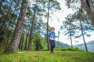 BIB: 1932
                            <button type="button" onclick="openModal(19288129)" class="btn btn-primary btn-sm float-right btn-popup" data-toggle="modal" data-target=".modal-high-quality">
                        <i class="fas fa-shopping-cart"></i> Add to Cart
                    </button>
                                            <button type="button" onclick="isThisMe(19288129, true)" class="btn btn-success btn-sm float-right btn-popup btn-isme hidden" data-toggle="tooltip" data-placement="bottom" title="นี่คือรูปของคุณใช่ไหม คลิกที่นี่เพื่อเอาเข้าอัลบั้ม">
                        <i class="fas fa-plus"></i> Add to album
                    </button>
                    <button type="button" onclick="isThisMe(19288129, false)" class="btn btn-warning btn-sm float-right btn-popup btn-isnotme hidden">
                        <i class="fas fa-ban"></i> Remove from album
                    </button>