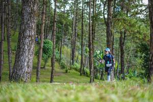 BIB: 
                            <button type="button" onclick="openModal(19292475)" class="btn btn-primary btn-sm float-right btn-popup" data-toggle="modal" data-target=".modal-high-quality">
                        <i class="fas fa-shopping-cart"></i> Add to Cart
                    </button>
                                            <button type="button" onclick="isThisMe(19292475, true)" class="btn btn-success btn-sm float-right btn-popup btn-isme hidden" data-toggle="tooltip" data-placement="bottom" title="นี่คือรูปของคุณใช่ไหม คลิกที่นี่เพื่อเอาเข้าอัลบั้ม">
                        <i class="fas fa-plus"></i> Add to album
                    </button>
                    <button type="button" onclick="isThisMe(19292475, false)" class="btn btn-warning btn-sm float-right btn-popup btn-isnotme hidden">
                        <i class="fas fa-ban"></i> Remove from album
                    </button>