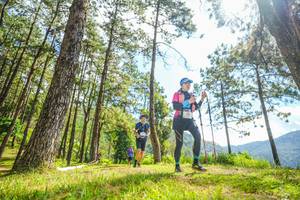 BIB: 
                            <button type="button" onclick="openModal(19289244)" class="btn btn-primary btn-sm float-right btn-popup" data-toggle="modal" data-target=".modal-high-quality">
                        <i class="fas fa-shopping-cart"></i> Add to Cart
                    </button>
                                            <button type="button" onclick="isThisMe(19289244, true)" class="btn btn-success btn-sm float-right btn-popup btn-isme hidden" data-toggle="tooltip" data-placement="bottom" title="นี่คือรูปของคุณใช่ไหม คลิกที่นี่เพื่อเอาเข้าอัลบั้ม">
                        <i class="fas fa-plus"></i> Add to album
                    </button>
                    <button type="button" onclick="isThisMe(19289244, false)" class="btn btn-warning btn-sm float-right btn-popup btn-isnotme hidden">
                        <i class="fas fa-ban"></i> Remove from album
                    </button>