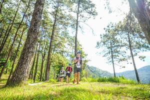 BIB: 
                            <button type="button" onclick="openModal(19288825)" class="btn btn-primary btn-sm float-right btn-popup" data-toggle="modal" data-target=".modal-high-quality">
                        <i class="fas fa-shopping-cart"></i> Add to Cart
                    </button>
                                            <button type="button" onclick="isThisMe(19288825, true)" class="btn btn-success btn-sm float-right btn-popup btn-isme hidden" data-toggle="tooltip" data-placement="bottom" title="นี่คือรูปของคุณใช่ไหม คลิกที่นี่เพื่อเอาเข้าอัลบั้ม">
                        <i class="fas fa-plus"></i> Add to album
                    </button>
                    <button type="button" onclick="isThisMe(19288825, false)" class="btn btn-warning btn-sm float-right btn-popup btn-isnotme hidden">
                        <i class="fas fa-ban"></i> Remove from album
                    </button>