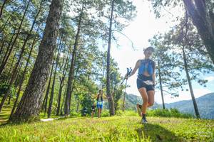 BIB: 
                            <button type="button" onclick="openModal(19283955)" class="btn btn-primary btn-sm float-right btn-popup" data-toggle="modal" data-target=".modal-high-quality">
                        <i class="fas fa-shopping-cart"></i> Add to Cart
                    </button>
                                            <button type="button" onclick="isThisMe(19283955, true)" class="btn btn-success btn-sm float-right btn-popup btn-isme hidden" data-toggle="tooltip" data-placement="bottom" title="นี่คือรูปของคุณใช่ไหม คลิกที่นี่เพื่อเอาเข้าอัลบั้ม">
                        <i class="fas fa-plus"></i> Add to album
                    </button>
                    <button type="button" onclick="isThisMe(19283955, false)" class="btn btn-warning btn-sm float-right btn-popup btn-isnotme hidden">
                        <i class="fas fa-ban"></i> Remove from album
                    </button>