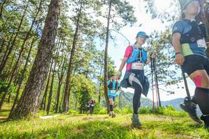 BIB: 6059
                            <button type="button" onclick="openModal(19289227)" class="btn btn-primary btn-sm float-right btn-popup" data-toggle="modal" data-target=".modal-high-quality">
                        <i class="fas fa-shopping-cart"></i> Add to Cart
                    </button>
                                            <button type="button" onclick="isThisMe(19289227, true)" class="btn btn-success btn-sm float-right btn-popup btn-isme hidden" data-toggle="tooltip" data-placement="bottom" title="นี่คือรูปของคุณใช่ไหม คลิกที่นี่เพื่อเอาเข้าอัลบั้ม">
                        <i class="fas fa-plus"></i> Add to album
                    </button>
                    <button type="button" onclick="isThisMe(19289227, false)" class="btn btn-warning btn-sm float-right btn-popup btn-isnotme hidden">
                        <i class="fas fa-ban"></i> Remove from album
                    </button>