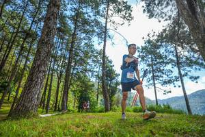 BIB: 
                            <button type="button" onclick="openModal(19284896)" class="btn btn-primary btn-sm float-right btn-popup" data-toggle="modal" data-target=".modal-high-quality">
                        <i class="fas fa-shopping-cart"></i> Add to Cart
                    </button>
                                            <button type="button" onclick="isThisMe(19284896, true)" class="btn btn-success btn-sm float-right btn-popup btn-isme hidden" data-toggle="tooltip" data-placement="bottom" title="นี่คือรูปของคุณใช่ไหม คลิกที่นี่เพื่อเอาเข้าอัลบั้ม">
                        <i class="fas fa-plus"></i> Add to album
                    </button>
                    <button type="button" onclick="isThisMe(19284896, false)" class="btn btn-warning btn-sm float-right btn-popup btn-isnotme hidden">
                        <i class="fas fa-ban"></i> Remove from album
                    </button>