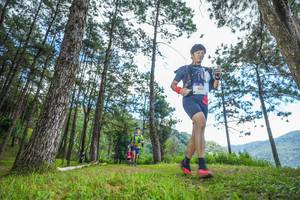 BIB: 602
                            <button type="button" onclick="openModal(19287949)" class="btn btn-primary btn-sm float-right btn-popup" data-toggle="modal" data-target=".modal-high-quality">
                        <i class="fas fa-shopping-cart"></i> Add to Cart
                    </button>
                                            <button type="button" onclick="isThisMe(19287949, true)" class="btn btn-success btn-sm float-right btn-popup btn-isme hidden" data-toggle="tooltip" data-placement="bottom" title="นี่คือรูปของคุณใช่ไหม คลิกที่นี่เพื่อเอาเข้าอัลบั้ม">
                        <i class="fas fa-plus"></i> Add to album
                    </button>
                    <button type="button" onclick="isThisMe(19287949, false)" class="btn btn-warning btn-sm float-right btn-popup btn-isnotme hidden">
                        <i class="fas fa-ban"></i> Remove from album
                    </button>