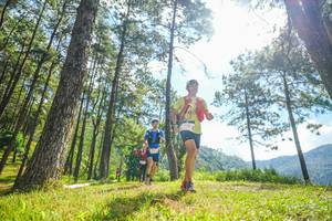 BIB: 
                            <button type="button" onclick="openModal(19286708)" class="btn btn-primary btn-sm float-right btn-popup" data-toggle="modal" data-target=".modal-high-quality">
                        <i class="fas fa-shopping-cart"></i> Add to Cart
                    </button>
                                            <button type="button" onclick="isThisMe(19286708, true)" class="btn btn-success btn-sm float-right btn-popup btn-isme hidden" data-toggle="tooltip" data-placement="bottom" title="นี่คือรูปของคุณใช่ไหม คลิกที่นี่เพื่อเอาเข้าอัลบั้ม">
                        <i class="fas fa-plus"></i> Add to album
                    </button>
                    <button type="button" onclick="isThisMe(19286708, false)" class="btn btn-warning btn-sm float-right btn-popup btn-isnotme hidden">
                        <i class="fas fa-ban"></i> Remove from album
                    </button>