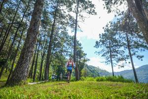 BIB: 
                            <button type="button" onclick="openModal(19282095)" class="btn btn-primary btn-sm float-right btn-popup" data-toggle="modal" data-target=".modal-high-quality">
                        <i class="fas fa-shopping-cart"></i> Add to Cart
                    </button>
                                            <button type="button" onclick="isThisMe(19282095, true)" class="btn btn-success btn-sm float-right btn-popup btn-isme hidden" data-toggle="tooltip" data-placement="bottom" title="นี่คือรูปของคุณใช่ไหม คลิกที่นี่เพื่อเอาเข้าอัลบั้ม">
                        <i class="fas fa-plus"></i> Add to album
                    </button>
                    <button type="button" onclick="isThisMe(19282095, false)" class="btn btn-warning btn-sm float-right btn-popup btn-isnotme hidden">
                        <i class="fas fa-ban"></i> Remove from album
                    </button>