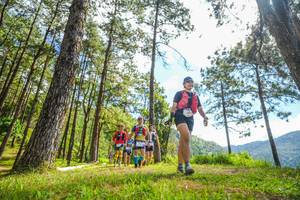 BIB: 
                            <button type="button" onclick="openModal(19290041)" class="btn btn-primary btn-sm float-right btn-popup" data-toggle="modal" data-target=".modal-high-quality">
                        <i class="fas fa-shopping-cart"></i> Add to Cart
                    </button>
                                            <button type="button" onclick="isThisMe(19290041, true)" class="btn btn-success btn-sm float-right btn-popup btn-isme hidden" data-toggle="tooltip" data-placement="bottom" title="นี่คือรูปของคุณใช่ไหม คลิกที่นี่เพื่อเอาเข้าอัลบั้ม">
                        <i class="fas fa-plus"></i> Add to album
                    </button>
                    <button type="button" onclick="isThisMe(19290041, false)" class="btn btn-warning btn-sm float-right btn-popup btn-isnotme hidden">
                        <i class="fas fa-ban"></i> Remove from album
                    </button>