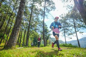 BIB: 
                            <button type="button" onclick="openModal(19286742)" class="btn btn-primary btn-sm float-right btn-popup" data-toggle="modal" data-target=".modal-high-quality">
                        <i class="fas fa-shopping-cart"></i> Add to Cart
                    </button>
                                            <button type="button" onclick="isThisMe(19286742, true)" class="btn btn-success btn-sm float-right btn-popup btn-isme hidden" data-toggle="tooltip" data-placement="bottom" title="นี่คือรูปของคุณใช่ไหม คลิกที่นี่เพื่อเอาเข้าอัลบั้ม">
                        <i class="fas fa-plus"></i> Add to album
                    </button>
                    <button type="button" onclick="isThisMe(19286742, false)" class="btn btn-warning btn-sm float-right btn-popup btn-isnotme hidden">
                        <i class="fas fa-ban"></i> Remove from album
                    </button>