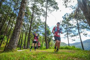 BIB: 
                            <button type="button" onclick="openModal(19291152)" class="btn btn-primary btn-sm float-right btn-popup" data-toggle="modal" data-target=".modal-high-quality">
                        <i class="fas fa-shopping-cart"></i> Add to Cart
                    </button>
                                            <button type="button" onclick="isThisMe(19291152, true)" class="btn btn-success btn-sm float-right btn-popup btn-isme hidden" data-toggle="tooltip" data-placement="bottom" title="นี่คือรูปของคุณใช่ไหม คลิกที่นี่เพื่อเอาเข้าอัลบั้ม">
                        <i class="fas fa-plus"></i> Add to album
                    </button>
                    <button type="button" onclick="isThisMe(19291152, false)" class="btn btn-warning btn-sm float-right btn-popup btn-isnotme hidden">
                        <i class="fas fa-ban"></i> Remove from album
                    </button>