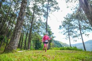 BIB: 
                            <button type="button" onclick="openModal(19286448)" class="btn btn-primary btn-sm float-right btn-popup" data-toggle="modal" data-target=".modal-high-quality">
                        <i class="fas fa-shopping-cart"></i> Add to Cart
                    </button>
                                            <button type="button" onclick="isThisMe(19286448, true)" class="btn btn-success btn-sm float-right btn-popup btn-isme hidden" data-toggle="tooltip" data-placement="bottom" title="นี่คือรูปของคุณใช่ไหม คลิกที่นี่เพื่อเอาเข้าอัลบั้ม">
                        <i class="fas fa-plus"></i> Add to album
                    </button>
                    <button type="button" onclick="isThisMe(19286448, false)" class="btn btn-warning btn-sm float-right btn-popup btn-isnotme hidden">
                        <i class="fas fa-ban"></i> Remove from album
                    </button>