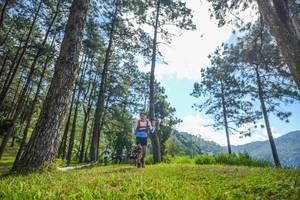 BIB: 
                            <button type="button" onclick="openModal(19282104)" class="btn btn-primary btn-sm float-right btn-popup" data-toggle="modal" data-target=".modal-high-quality">
                        <i class="fas fa-shopping-cart"></i> Add to Cart
                    </button>
                                            <button type="button" onclick="isThisMe(19282104, true)" class="btn btn-success btn-sm float-right btn-popup btn-isme hidden" data-toggle="tooltip" data-placement="bottom" title="นี่คือรูปของคุณใช่ไหม คลิกที่นี่เพื่อเอาเข้าอัลบั้ม">
                        <i class="fas fa-plus"></i> Add to album
                    </button>
                    <button type="button" onclick="isThisMe(19282104, false)" class="btn btn-warning btn-sm float-right btn-popup btn-isnotme hidden">
                        <i class="fas fa-ban"></i> Remove from album
                    </button>