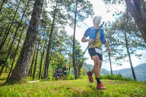 BIB: 
                            <button type="button" onclick="openModal(19286624)" class="btn btn-primary btn-sm float-right btn-popup" data-toggle="modal" data-target=".modal-high-quality">
                        <i class="fas fa-shopping-cart"></i> Add to Cart
                    </button>
                                            <button type="button" onclick="isThisMe(19286624, true)" class="btn btn-success btn-sm float-right btn-popup btn-isme hidden" data-toggle="tooltip" data-placement="bottom" title="นี่คือรูปของคุณใช่ไหม คลิกที่นี่เพื่อเอาเข้าอัลบั้ม">
                        <i class="fas fa-plus"></i> Add to album
                    </button>
                    <button type="button" onclick="isThisMe(19286624, false)" class="btn btn-warning btn-sm float-right btn-popup btn-isnotme hidden">
                        <i class="fas fa-ban"></i> Remove from album
                    </button>