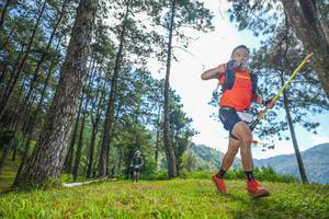 BIB: 
                            <button type="button" onclick="openModal(19283116)" class="btn btn-primary btn-sm float-right btn-popup" data-toggle="modal" data-target=".modal-high-quality">
                        <i class="fas fa-shopping-cart"></i> Add to Cart
                    </button>
                                            <button type="button" onclick="isThisMe(19283116, true)" class="btn btn-success btn-sm float-right btn-popup btn-isme hidden" data-toggle="tooltip" data-placement="bottom" title="นี่คือรูปของคุณใช่ไหม คลิกที่นี่เพื่อเอาเข้าอัลบั้ม">
                        <i class="fas fa-plus"></i> Add to album
                    </button>
                    <button type="button" onclick="isThisMe(19283116, false)" class="btn btn-warning btn-sm float-right btn-popup btn-isnotme hidden">
                        <i class="fas fa-ban"></i> Remove from album
                    </button>