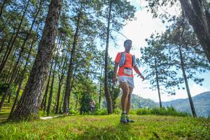 BIB: 357
                            <button type="button" onclick="openModal(19283819)" class="btn btn-primary btn-sm float-right btn-popup" data-toggle="modal" data-target=".modal-high-quality">
                        <i class="fas fa-shopping-cart"></i> Add to Cart
                    </button>
                                            <button type="button" onclick="isThisMe(19283819, true)" class="btn btn-success btn-sm float-right btn-popup btn-isme hidden" data-toggle="tooltip" data-placement="bottom" title="นี่คือรูปของคุณใช่ไหม คลิกที่นี่เพื่อเอาเข้าอัลบั้ม">
                        <i class="fas fa-plus"></i> Add to album
                    </button>
                    <button type="button" onclick="isThisMe(19283819, false)" class="btn btn-warning btn-sm float-right btn-popup btn-isnotme hidden">
                        <i class="fas fa-ban"></i> Remove from album
                    </button>