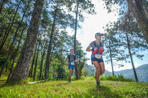 BIB: 1990
                            <button type="button" onclick="openModal(19282320)" class="btn btn-primary btn-sm float-right btn-popup" data-toggle="modal" data-target=".modal-high-quality">
                        <i class="fas fa-shopping-cart"></i> Add to Cart
                    </button>
                                            <button type="button" onclick="isThisMe(19282320, true)" class="btn btn-success btn-sm float-right btn-popup btn-isme hidden" data-toggle="tooltip" data-placement="bottom" title="นี่คือรูปของคุณใช่ไหม คลิกที่นี่เพื่อเอาเข้าอัลบั้ม">
                        <i class="fas fa-plus"></i> Add to album
                    </button>
                    <button type="button" onclick="isThisMe(19282320, false)" class="btn btn-warning btn-sm float-right btn-popup btn-isnotme hidden">
                        <i class="fas fa-ban"></i> Remove from album
                    </button>