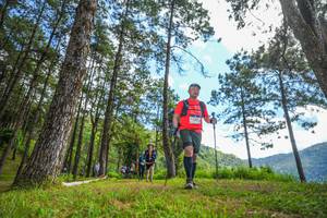 BIB: 
                            <button type="button" onclick="openModal(19291031)" class="btn btn-primary btn-sm float-right btn-popup" data-toggle="modal" data-target=".modal-high-quality">
                        <i class="fas fa-shopping-cart"></i> Add to Cart
                    </button>
                                            <button type="button" onclick="isThisMe(19291031, true)" class="btn btn-success btn-sm float-right btn-popup btn-isme hidden" data-toggle="tooltip" data-placement="bottom" title="นี่คือรูปของคุณใช่ไหม คลิกที่นี่เพื่อเอาเข้าอัลบั้ม">
                        <i class="fas fa-plus"></i> Add to album
                    </button>
                    <button type="button" onclick="isThisMe(19291031, false)" class="btn btn-warning btn-sm float-right btn-popup btn-isnotme hidden">
                        <i class="fas fa-ban"></i> Remove from album
                    </button>