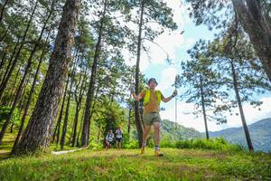 BIB: 
                            <button type="button" onclick="openModal(19291290)" class="btn btn-primary btn-sm float-right btn-popup" data-toggle="modal" data-target=".modal-high-quality">
                        <i class="fas fa-shopping-cart"></i> Add to Cart
                    </button>
                                            <button type="button" onclick="isThisMe(19291290, true)" class="btn btn-success btn-sm float-right btn-popup btn-isme hidden" data-toggle="tooltip" data-placement="bottom" title="นี่คือรูปของคุณใช่ไหม คลิกที่นี่เพื่อเอาเข้าอัลบั้ม">
                        <i class="fas fa-plus"></i> Add to album
                    </button>
                    <button type="button" onclick="isThisMe(19291290, false)" class="btn btn-warning btn-sm float-right btn-popup btn-isnotme hidden">
                        <i class="fas fa-ban"></i> Remove from album
                    </button>