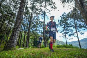 BIB: 
                            <button type="button" onclick="openModal(19286016)" class="btn btn-primary btn-sm float-right btn-popup" data-toggle="modal" data-target=".modal-high-quality">
                        <i class="fas fa-shopping-cart"></i> Add to Cart
                    </button>
                                            <button type="button" onclick="isThisMe(19286016, true)" class="btn btn-success btn-sm float-right btn-popup btn-isme hidden" data-toggle="tooltip" data-placement="bottom" title="นี่คือรูปของคุณใช่ไหม คลิกที่นี่เพื่อเอาเข้าอัลบั้ม">
                        <i class="fas fa-plus"></i> Add to album
                    </button>
                    <button type="button" onclick="isThisMe(19286016, false)" class="btn btn-warning btn-sm float-right btn-popup btn-isnotme hidden">
                        <i class="fas fa-ban"></i> Remove from album
                    </button>