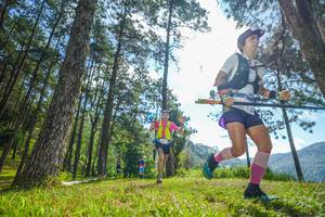 BIB: 
                            <button type="button" onclick="openModal(19282402)" class="btn btn-primary btn-sm float-right btn-popup" data-toggle="modal" data-target=".modal-high-quality">
                        <i class="fas fa-shopping-cart"></i> Add to Cart
                    </button>
                                            <button type="button" onclick="isThisMe(19282402, true)" class="btn btn-success btn-sm float-right btn-popup btn-isme hidden" data-toggle="tooltip" data-placement="bottom" title="นี่คือรูปของคุณใช่ไหม คลิกที่นี่เพื่อเอาเข้าอัลบั้ม">
                        <i class="fas fa-plus"></i> Add to album
                    </button>
                    <button type="button" onclick="isThisMe(19282402, false)" class="btn btn-warning btn-sm float-right btn-popup btn-isnotme hidden">
                        <i class="fas fa-ban"></i> Remove from album
                    </button>