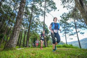 BIB: 
                            <button type="button" onclick="openModal(19288050)" class="btn btn-primary btn-sm float-right btn-popup" data-toggle="modal" data-target=".modal-high-quality">
                        <i class="fas fa-shopping-cart"></i> Add to Cart
                    </button>
                                            <button type="button" onclick="isThisMe(19288050, true)" class="btn btn-success btn-sm float-right btn-popup btn-isme hidden" data-toggle="tooltip" data-placement="bottom" title="นี่คือรูปของคุณใช่ไหม คลิกที่นี่เพื่อเอาเข้าอัลบั้ม">
                        <i class="fas fa-plus"></i> Add to album
                    </button>
                    <button type="button" onclick="isThisMe(19288050, false)" class="btn btn-warning btn-sm float-right btn-popup btn-isnotme hidden">
                        <i class="fas fa-ban"></i> Remove from album
                    </button>