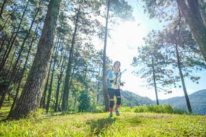 BIB: 
                            <button type="button" onclick="openModal(19281345)" class="btn btn-primary btn-sm float-right btn-popup" data-toggle="modal" data-target=".modal-high-quality">
                        <i class="fas fa-shopping-cart"></i> Add to Cart
                    </button>
                                            <button type="button" onclick="isThisMe(19281345, true)" class="btn btn-success btn-sm float-right btn-popup btn-isme hidden" data-toggle="tooltip" data-placement="bottom" title="นี่คือรูปของคุณใช่ไหม คลิกที่นี่เพื่อเอาเข้าอัลบั้ม">
                        <i class="fas fa-plus"></i> Add to album
                    </button>
                    <button type="button" onclick="isThisMe(19281345, false)" class="btn btn-warning btn-sm float-right btn-popup btn-isnotme hidden">
                        <i class="fas fa-ban"></i> Remove from album
                    </button>