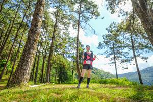 BIB: 299
                            <button type="button" onclick="openModal(19291550)" class="btn btn-primary btn-sm float-right btn-popup" data-toggle="modal" data-target=".modal-high-quality">
                        <i class="fas fa-shopping-cart"></i> Add to Cart
                    </button>
                                            <button type="button" onclick="isThisMe(19291550, true)" class="btn btn-success btn-sm float-right btn-popup btn-isme hidden" data-toggle="tooltip" data-placement="bottom" title="นี่คือรูปของคุณใช่ไหม คลิกที่นี่เพื่อเอาเข้าอัลบั้ม">
                        <i class="fas fa-plus"></i> Add to album
                    </button>
                    <button type="button" onclick="isThisMe(19291550, false)" class="btn btn-warning btn-sm float-right btn-popup btn-isnotme hidden">
                        <i class="fas fa-ban"></i> Remove from album
                    </button>