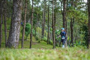 BIB: 
                            <button type="button" onclick="openModal(19292473)" class="btn btn-primary btn-sm float-right btn-popup" data-toggle="modal" data-target=".modal-high-quality">
                        <i class="fas fa-shopping-cart"></i> Add to Cart
                    </button>
                                            <button type="button" onclick="isThisMe(19292473, true)" class="btn btn-success btn-sm float-right btn-popup btn-isme hidden" data-toggle="tooltip" data-placement="bottom" title="นี่คือรูปของคุณใช่ไหม คลิกที่นี่เพื่อเอาเข้าอัลบั้ม">
                        <i class="fas fa-plus"></i> Add to album
                    </button>
                    <button type="button" onclick="isThisMe(19292473, false)" class="btn btn-warning btn-sm float-right btn-popup btn-isnotme hidden">
                        <i class="fas fa-ban"></i> Remove from album
                    </button>