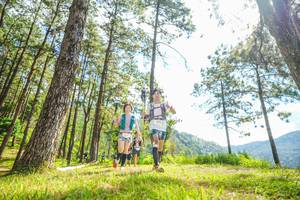 BIB: 
                            <button type="button" onclick="openModal(19288820)" class="btn btn-primary btn-sm float-right btn-popup" data-toggle="modal" data-target=".modal-high-quality">
                        <i class="fas fa-shopping-cart"></i> Add to Cart
                    </button>
                                            <button type="button" onclick="isThisMe(19288820, true)" class="btn btn-success btn-sm float-right btn-popup btn-isme hidden" data-toggle="tooltip" data-placement="bottom" title="นี่คือรูปของคุณใช่ไหม คลิกที่นี่เพื่อเอาเข้าอัลบั้ม">
                        <i class="fas fa-plus"></i> Add to album
                    </button>
                    <button type="button" onclick="isThisMe(19288820, false)" class="btn btn-warning btn-sm float-right btn-popup btn-isnotme hidden">
                        <i class="fas fa-ban"></i> Remove from album
                    </button>