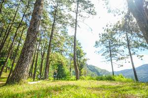 BIB: 
                            <button type="button" onclick="openModal(19289501)" class="btn btn-primary btn-sm float-right btn-popup" data-toggle="modal" data-target=".modal-high-quality">
                        <i class="fas fa-shopping-cart"></i> Add to Cart
                    </button>
                                            <button type="button" onclick="isThisMe(19289501, true)" class="btn btn-success btn-sm float-right btn-popup btn-isme hidden" data-toggle="tooltip" data-placement="bottom" title="นี่คือรูปของคุณใช่ไหม คลิกที่นี่เพื่อเอาเข้าอัลบั้ม">
                        <i class="fas fa-plus"></i> Add to album
                    </button>
                    <button type="button" onclick="isThisMe(19289501, false)" class="btn btn-warning btn-sm float-right btn-popup btn-isnotme hidden">
                        <i class="fas fa-ban"></i> Remove from album
                    </button>