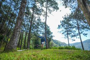 BIB: 
                            <button type="button" onclick="openModal(19280993)" class="btn btn-primary btn-sm float-right btn-popup" data-toggle="modal" data-target=".modal-high-quality">
                        <i class="fas fa-shopping-cart"></i> Add to Cart
                    </button>
                                            <button type="button" onclick="isThisMe(19280993, true)" class="btn btn-success btn-sm float-right btn-popup btn-isme hidden" data-toggle="tooltip" data-placement="bottom" title="นี่คือรูปของคุณใช่ไหม คลิกที่นี่เพื่อเอาเข้าอัลบั้ม">
                        <i class="fas fa-plus"></i> Add to album
                    </button>
                    <button type="button" onclick="isThisMe(19280993, false)" class="btn btn-warning btn-sm float-right btn-popup btn-isnotme hidden">
                        <i class="fas fa-ban"></i> Remove from album
                    </button>