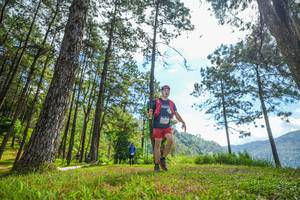 BIB: 
                            <button type="button" onclick="openModal(19286882)" class="btn btn-primary btn-sm float-right btn-popup" data-toggle="modal" data-target=".modal-high-quality">
                        <i class="fas fa-shopping-cart"></i> Add to Cart
                    </button>
                                            <button type="button" onclick="isThisMe(19286882, true)" class="btn btn-success btn-sm float-right btn-popup btn-isme hidden" data-toggle="tooltip" data-placement="bottom" title="นี่คือรูปของคุณใช่ไหม คลิกที่นี่เพื่อเอาเข้าอัลบั้ม">
                        <i class="fas fa-plus"></i> Add to album
                    </button>
                    <button type="button" onclick="isThisMe(19286882, false)" class="btn btn-warning btn-sm float-right btn-popup btn-isnotme hidden">
                        <i class="fas fa-ban"></i> Remove from album
                    </button>