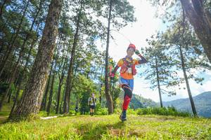 BIB: 
                            <button type="button" onclick="openModal(19287004)" class="btn btn-primary btn-sm float-right btn-popup" data-toggle="modal" data-target=".modal-high-quality">
                        <i class="fas fa-shopping-cart"></i> Add to Cart
                    </button>
                                            <button type="button" onclick="isThisMe(19287004, true)" class="btn btn-success btn-sm float-right btn-popup btn-isme hidden" data-toggle="tooltip" data-placement="bottom" title="นี่คือรูปของคุณใช่ไหม คลิกที่นี่เพื่อเอาเข้าอัลบั้ม">
                        <i class="fas fa-plus"></i> Add to album
                    </button>
                    <button type="button" onclick="isThisMe(19287004, false)" class="btn btn-warning btn-sm float-right btn-popup btn-isnotme hidden">
                        <i class="fas fa-ban"></i> Remove from album
                    </button>