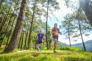 BIB: 
                            <button type="button" onclick="openModal(19290902)" class="btn btn-primary btn-sm float-right btn-popup" data-toggle="modal" data-target=".modal-high-quality">
                        <i class="fas fa-shopping-cart"></i> Add to Cart
                    </button>
                                            <button type="button" onclick="isThisMe(19290902, true)" class="btn btn-success btn-sm float-right btn-popup btn-isme hidden" data-toggle="tooltip" data-placement="bottom" title="นี่คือรูปของคุณใช่ไหม คลิกที่นี่เพื่อเอาเข้าอัลบั้ม">
                        <i class="fas fa-plus"></i> Add to album
                    </button>
                    <button type="button" onclick="isThisMe(19290902, false)" class="btn btn-warning btn-sm float-right btn-popup btn-isnotme hidden">
                        <i class="fas fa-ban"></i> Remove from album
                    </button>