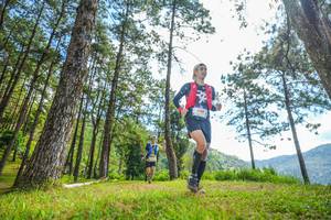 BIB: 100, 150
                            <button type="button" onclick="openModal(19288707)" class="btn btn-primary btn-sm float-right btn-popup" data-toggle="modal" data-target=".modal-high-quality">
                        <i class="fas fa-shopping-cart"></i> Add to Cart
                    </button>
                                            <button type="button" onclick="isThisMe(19288707, true)" class="btn btn-success btn-sm float-right btn-popup btn-isme hidden" data-toggle="tooltip" data-placement="bottom" title="นี่คือรูปของคุณใช่ไหม คลิกที่นี่เพื่อเอาเข้าอัลบั้ม">
                        <i class="fas fa-plus"></i> Add to album
                    </button>
                    <button type="button" onclick="isThisMe(19288707, false)" class="btn btn-warning btn-sm float-right btn-popup btn-isnotme hidden">
                        <i class="fas fa-ban"></i> Remove from album
                    </button>