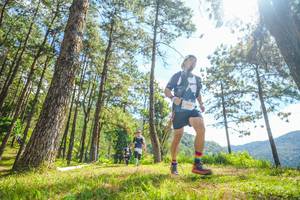 BIB: 
                            <button type="button" onclick="openModal(19290457)" class="btn btn-primary btn-sm float-right btn-popup" data-toggle="modal" data-target=".modal-high-quality">
                        <i class="fas fa-shopping-cart"></i> Add to Cart
                    </button>
                                            <button type="button" onclick="isThisMe(19290457, true)" class="btn btn-success btn-sm float-right btn-popup btn-isme hidden" data-toggle="tooltip" data-placement="bottom" title="นี่คือรูปของคุณใช่ไหม คลิกที่นี่เพื่อเอาเข้าอัลบั้ม">
                        <i class="fas fa-plus"></i> Add to album
                    </button>
                    <button type="button" onclick="isThisMe(19290457, false)" class="btn btn-warning btn-sm float-right btn-popup btn-isnotme hidden">
                        <i class="fas fa-ban"></i> Remove from album
                    </button>