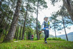 BIB: 
                            <button type="button" onclick="openModal(19288643)" class="btn btn-primary btn-sm float-right btn-popup" data-toggle="modal" data-target=".modal-high-quality">
                        <i class="fas fa-shopping-cart"></i> Add to Cart
                    </button>
                                            <button type="button" onclick="isThisMe(19288643, true)" class="btn btn-success btn-sm float-right btn-popup btn-isme hidden" data-toggle="tooltip" data-placement="bottom" title="นี่คือรูปของคุณใช่ไหม คลิกที่นี่เพื่อเอาเข้าอัลบั้ม">
                        <i class="fas fa-plus"></i> Add to album
                    </button>
                    <button type="button" onclick="isThisMe(19288643, false)" class="btn btn-warning btn-sm float-right btn-popup btn-isnotme hidden">
                        <i class="fas fa-ban"></i> Remove from album
                    </button>