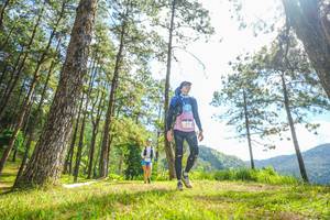 BIB: 
                            <button type="button" onclick="openModal(19289472)" class="btn btn-primary btn-sm float-right btn-popup" data-toggle="modal" data-target=".modal-high-quality">
                        <i class="fas fa-shopping-cart"></i> Add to Cart
                    </button>
                                            <button type="button" onclick="isThisMe(19289472, true)" class="btn btn-success btn-sm float-right btn-popup btn-isme hidden" data-toggle="tooltip" data-placement="bottom" title="นี่คือรูปของคุณใช่ไหม คลิกที่นี่เพื่อเอาเข้าอัลบั้ม">
                        <i class="fas fa-plus"></i> Add to album
                    </button>
                    <button type="button" onclick="isThisMe(19289472, false)" class="btn btn-warning btn-sm float-right btn-popup btn-isnotme hidden">
                        <i class="fas fa-ban"></i> Remove from album
                    </button>