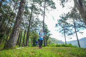 BIB: 
                            <button type="button" onclick="openModal(19288610)" class="btn btn-primary btn-sm float-right btn-popup" data-toggle="modal" data-target=".modal-high-quality">
                        <i class="fas fa-shopping-cart"></i> Add to Cart
                    </button>
                                            <button type="button" onclick="isThisMe(19288610, true)" class="btn btn-success btn-sm float-right btn-popup btn-isme hidden" data-toggle="tooltip" data-placement="bottom" title="นี่คือรูปของคุณใช่ไหม คลิกที่นี่เพื่อเอาเข้าอัลบั้ม">
                        <i class="fas fa-plus"></i> Add to album
                    </button>
                    <button type="button" onclick="isThisMe(19288610, false)" class="btn btn-warning btn-sm float-right btn-popup btn-isnotme hidden">
                        <i class="fas fa-ban"></i> Remove from album
                    </button>